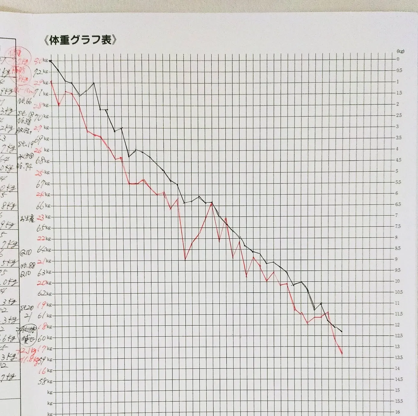 いらない脂肪を落として、体の中から若返る!